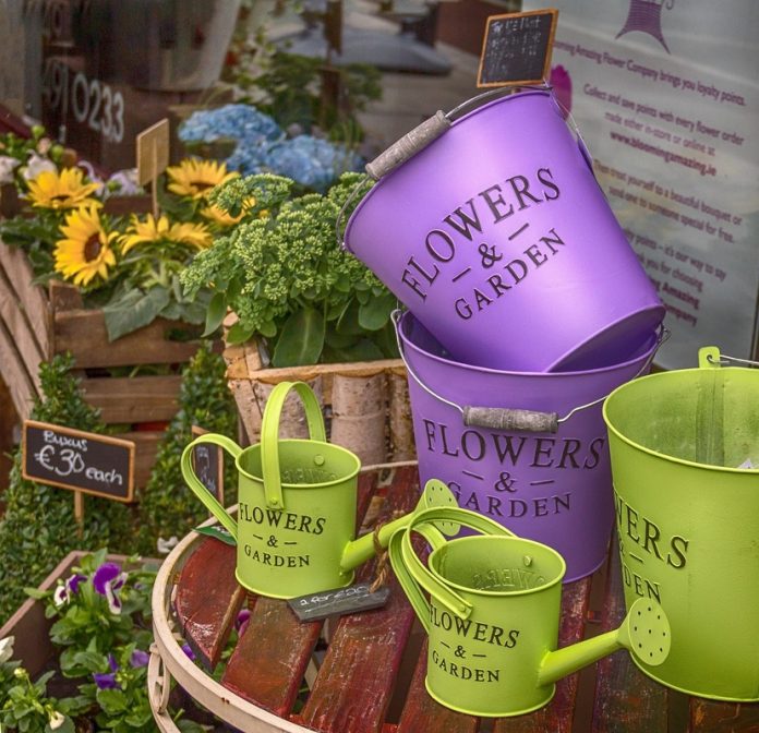 Marketing digital impulsiona crescimento e fidelização nas floriculturas