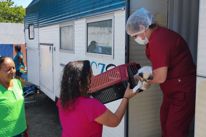 Castração gratuita em Manaus beneficia cães e gatos